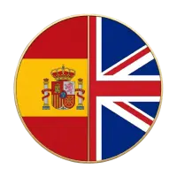 Globe icon for language